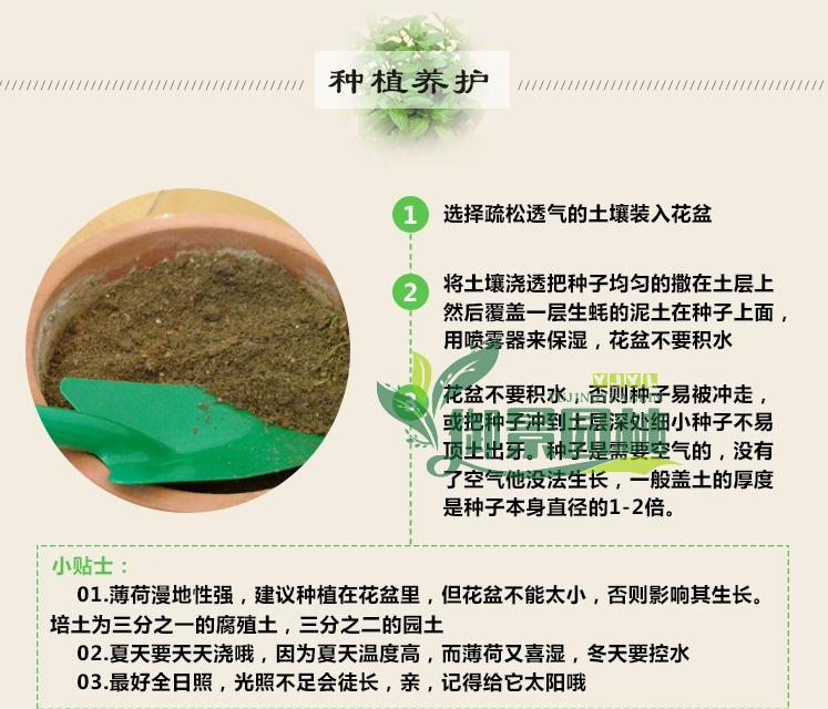 详情7.jpg