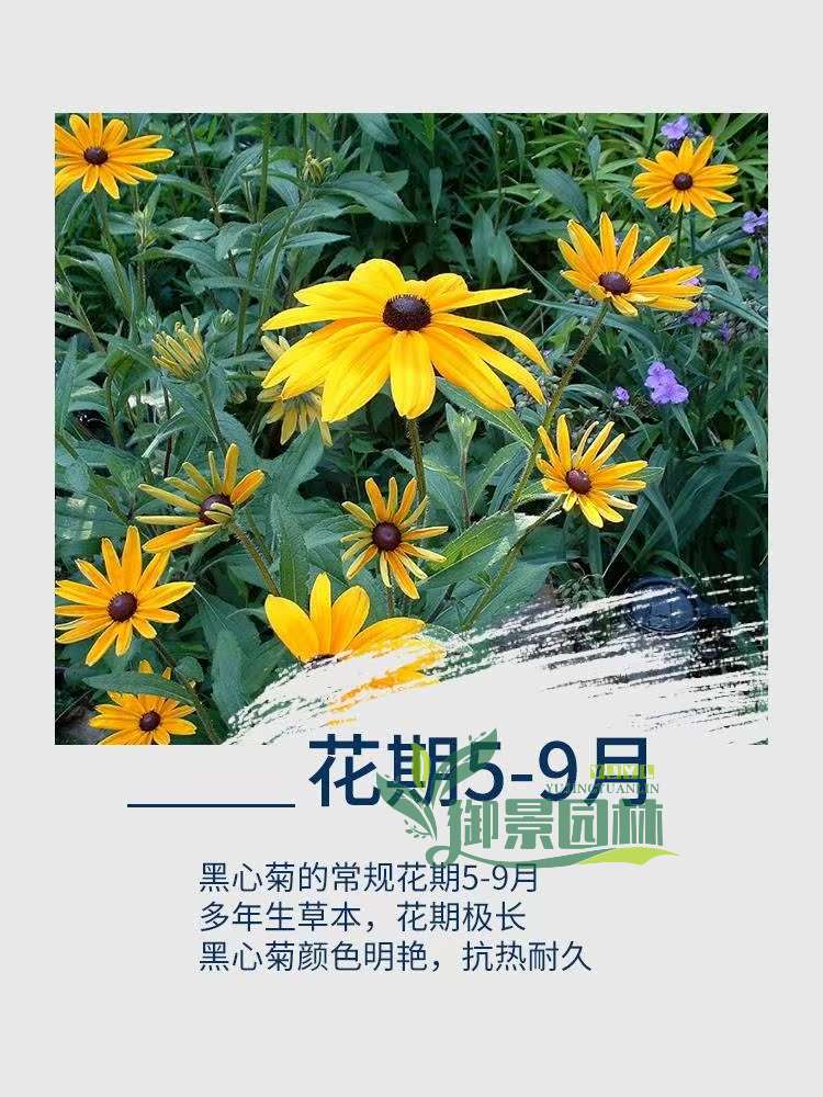 详情6.jpg