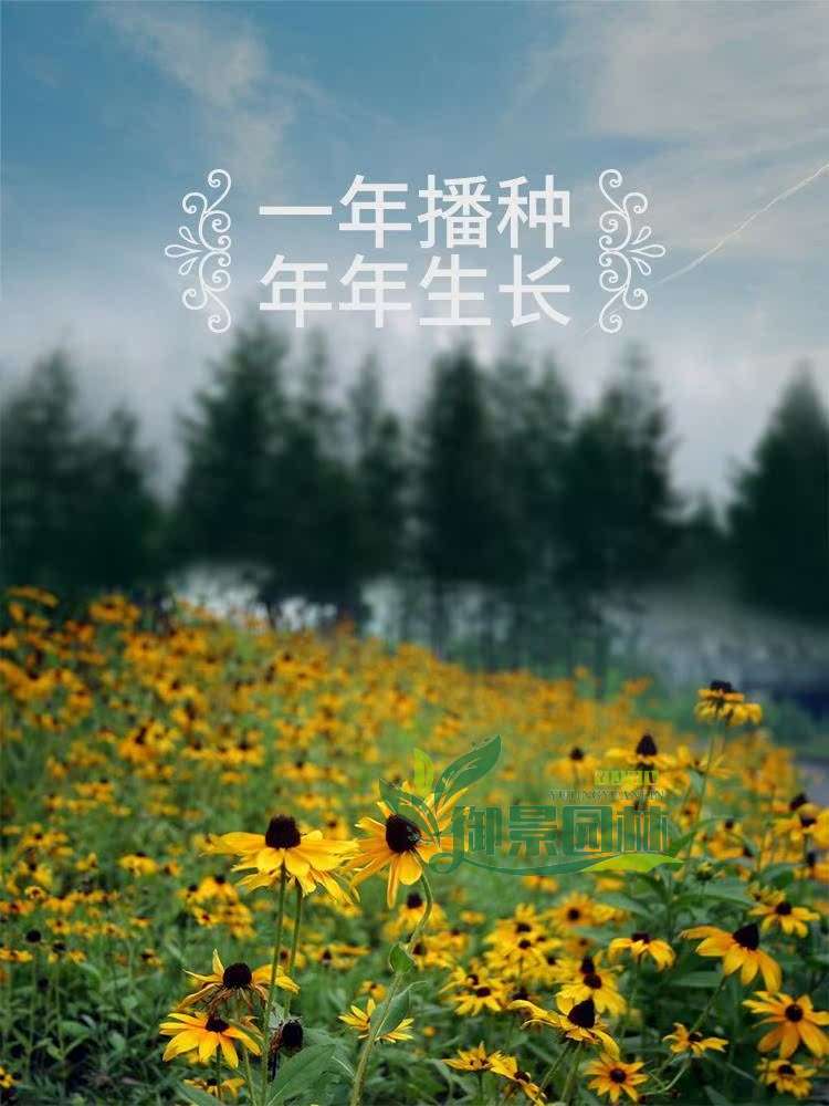 详情5.jpg