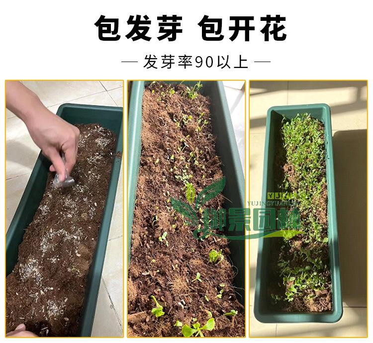 详情6.jpg