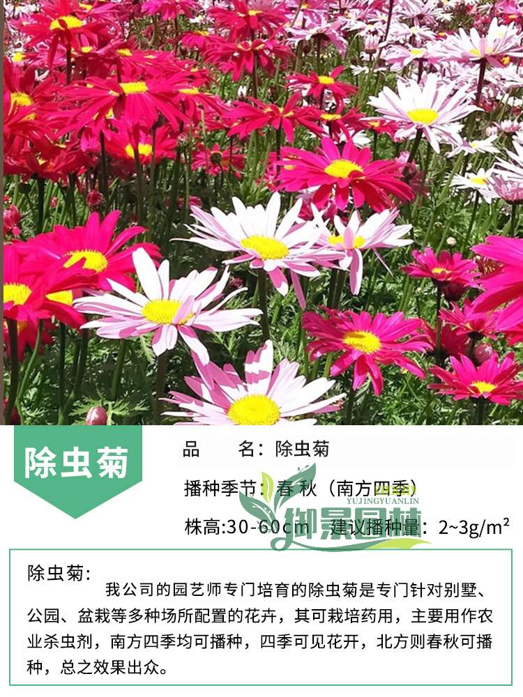 详情8.jpg
