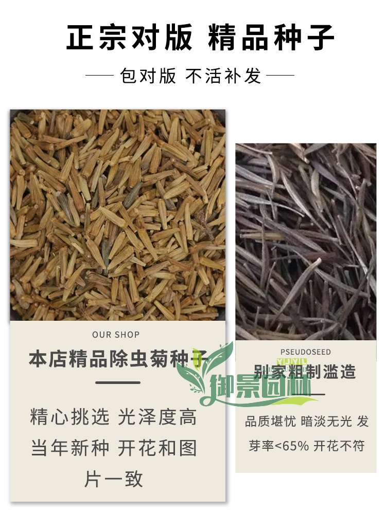 详情7.jpg