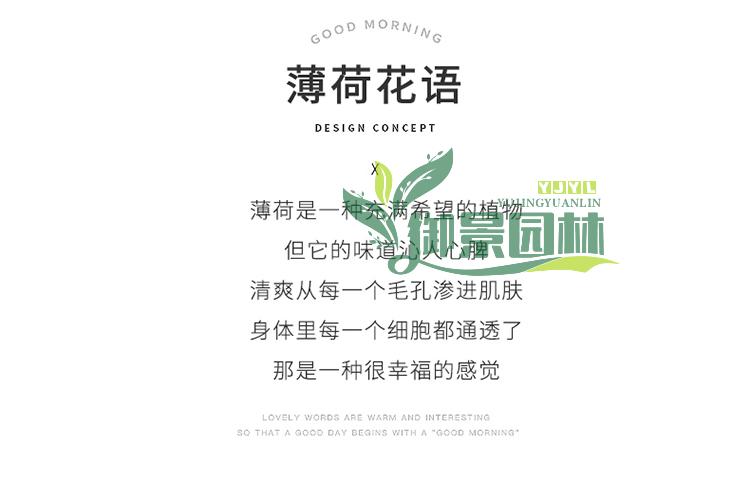 详情2.jpg