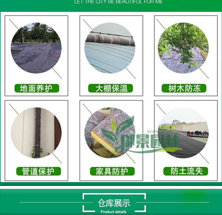 详情9.jpg