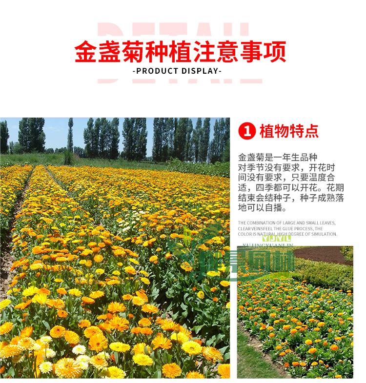 详情2.jpg