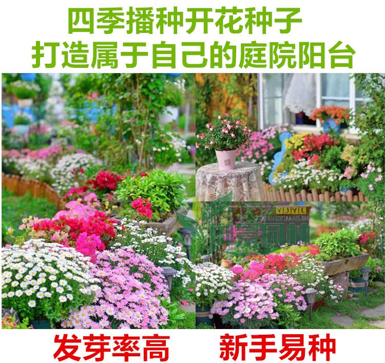 详情7.jpg
