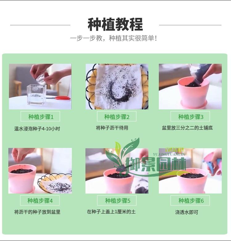 详情11.jpg