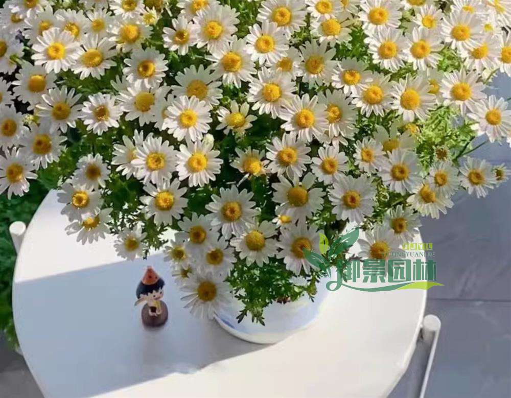 详情9.jpg