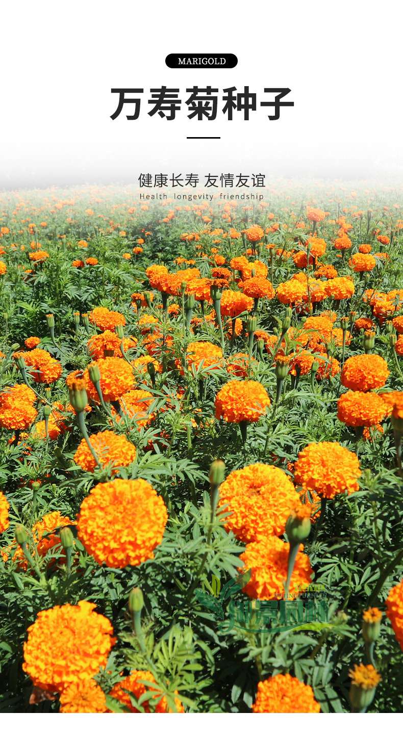 详情1.jpg