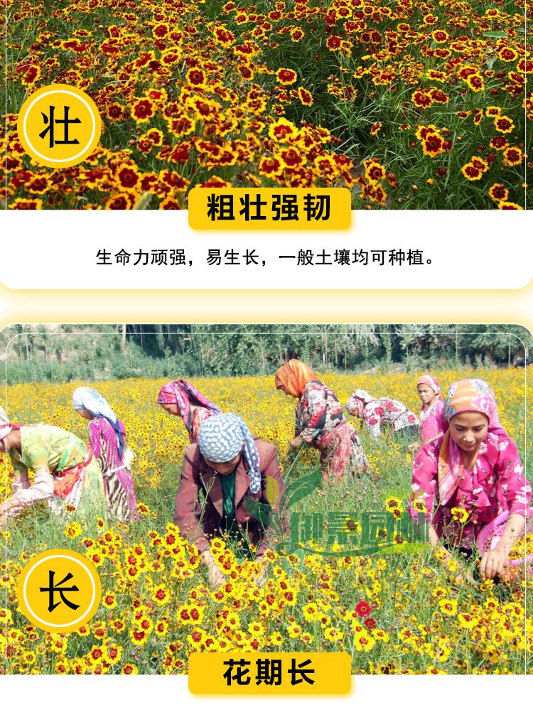 详情9.jpg