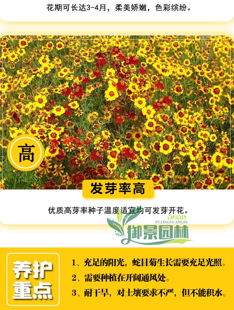 详情10.jpg
