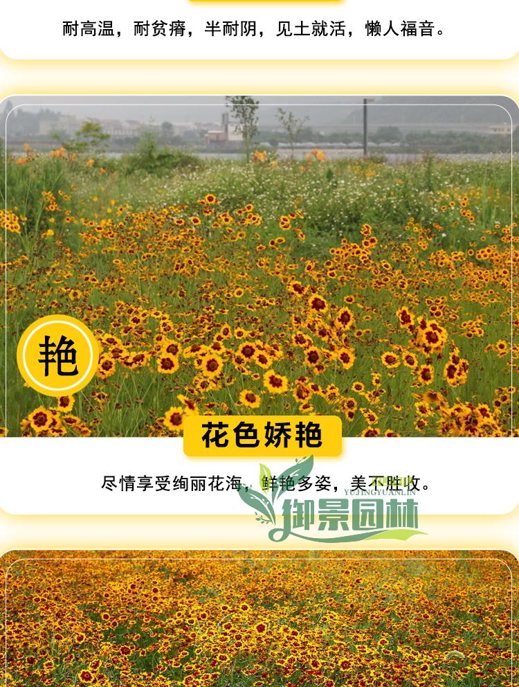 详情8.jpg