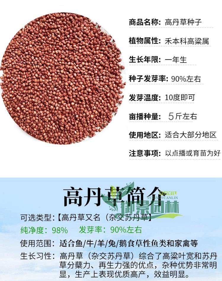 详情2.jpg