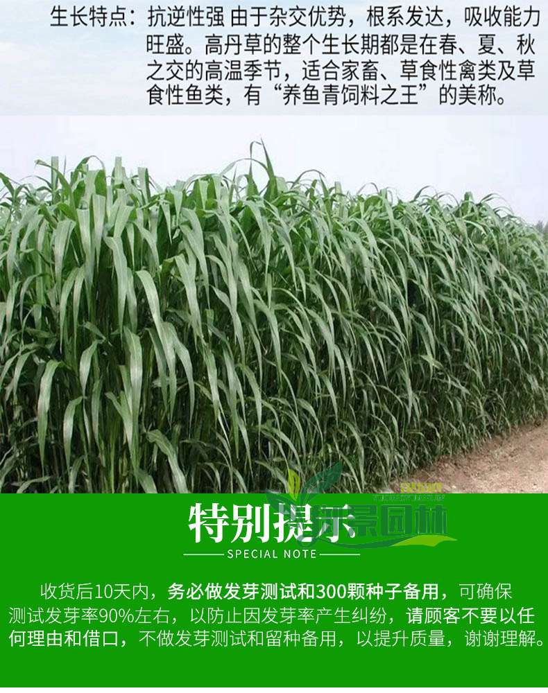 详情3.jpg
