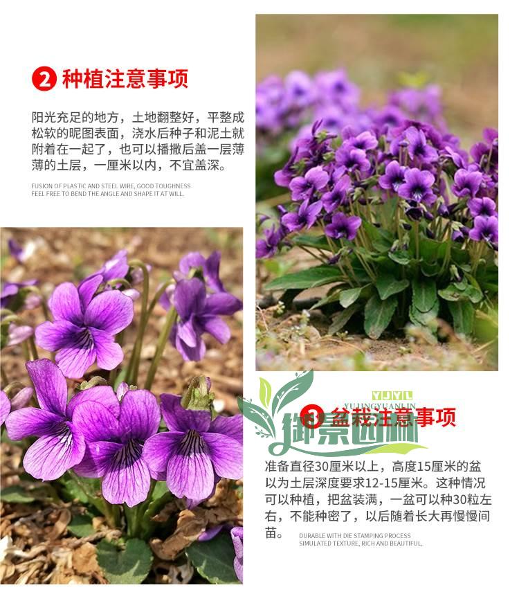 详情4.jpg
