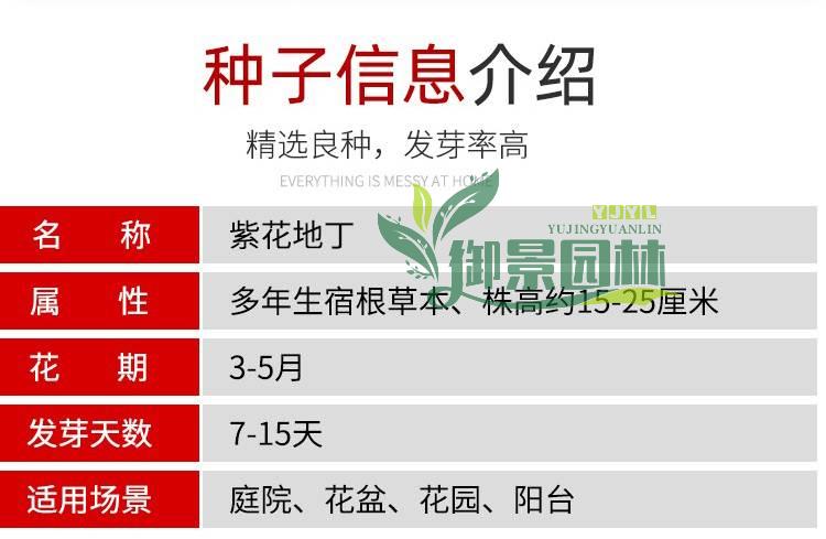 详情3.jpg