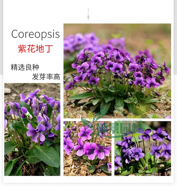 详情2.jpg