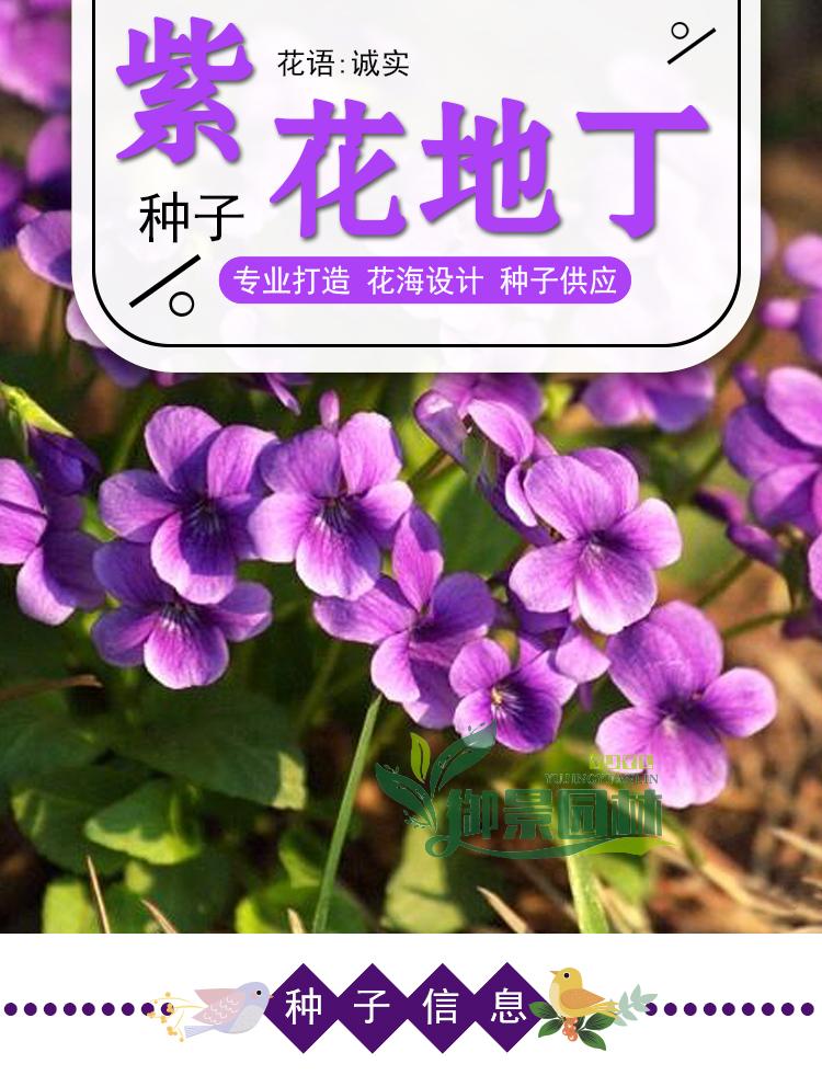 详情1.1.jpg