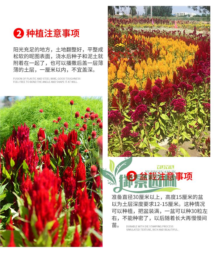 详情6.jpg