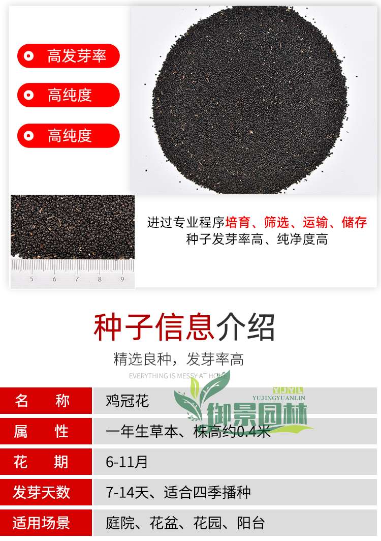 详情4.jpg