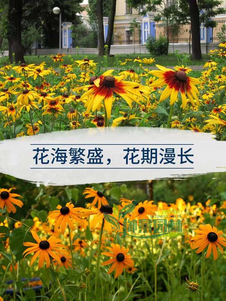 详情2.jpg