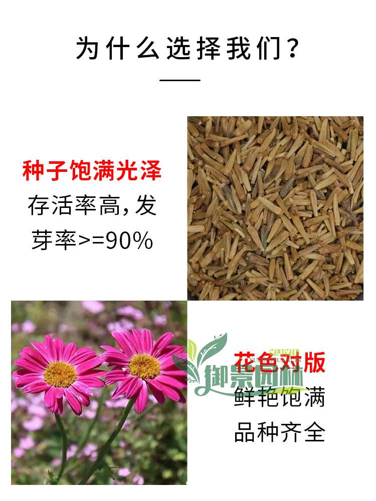详情2.jpg