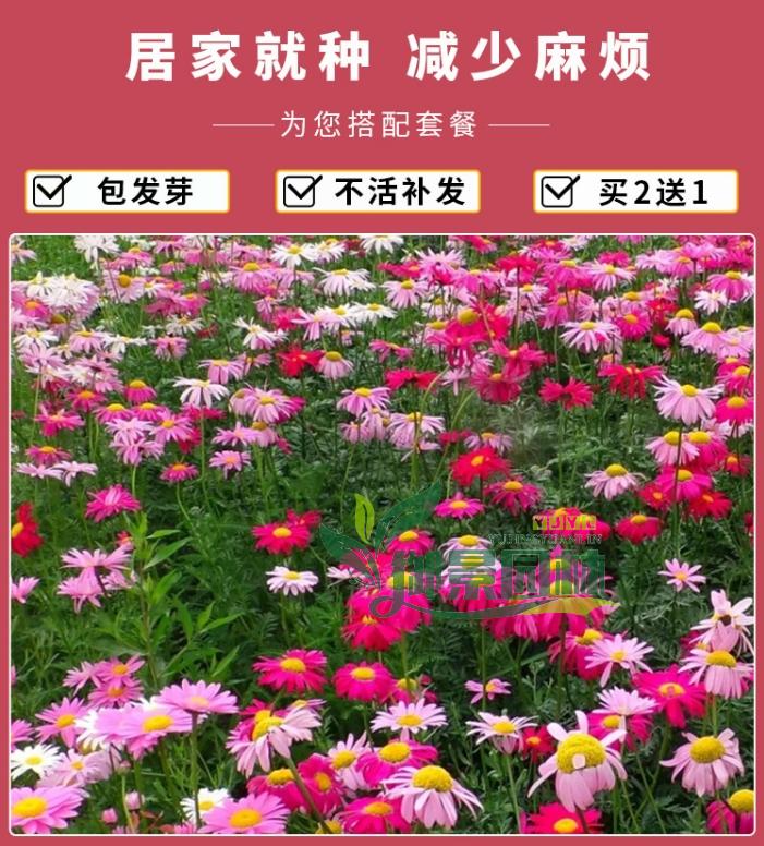 详情3.jpg