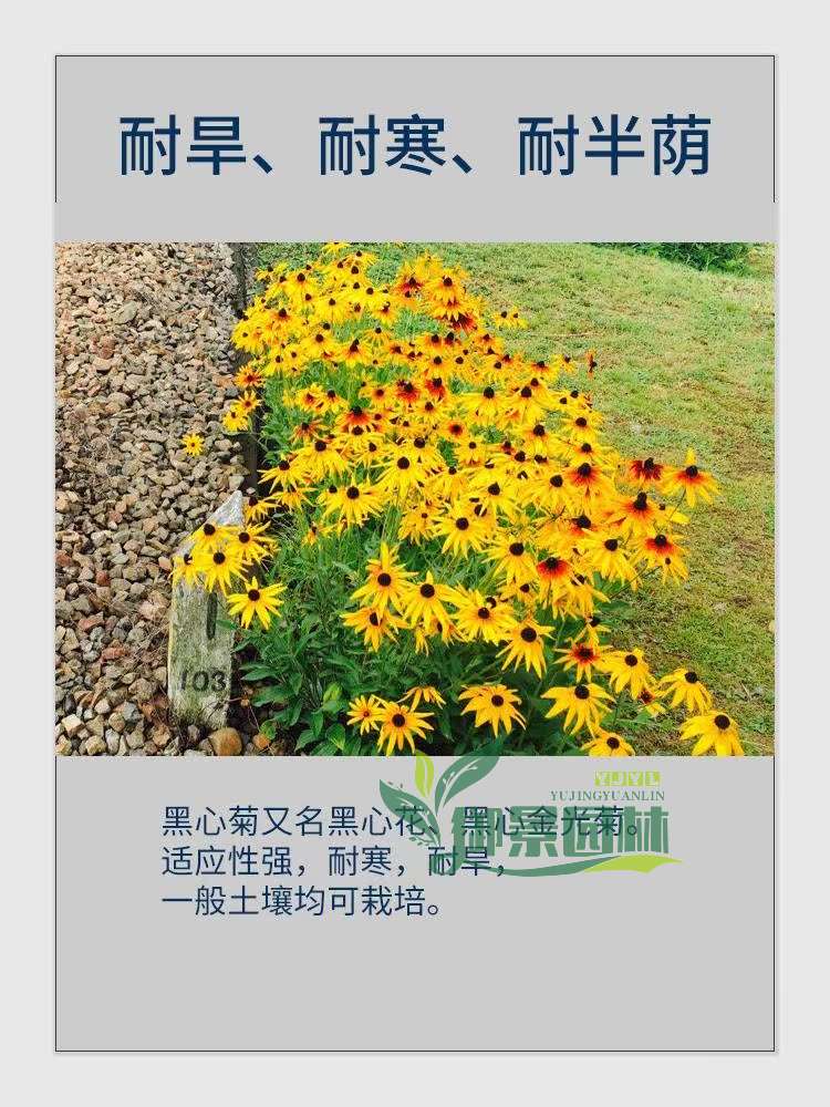 详情3.jpg