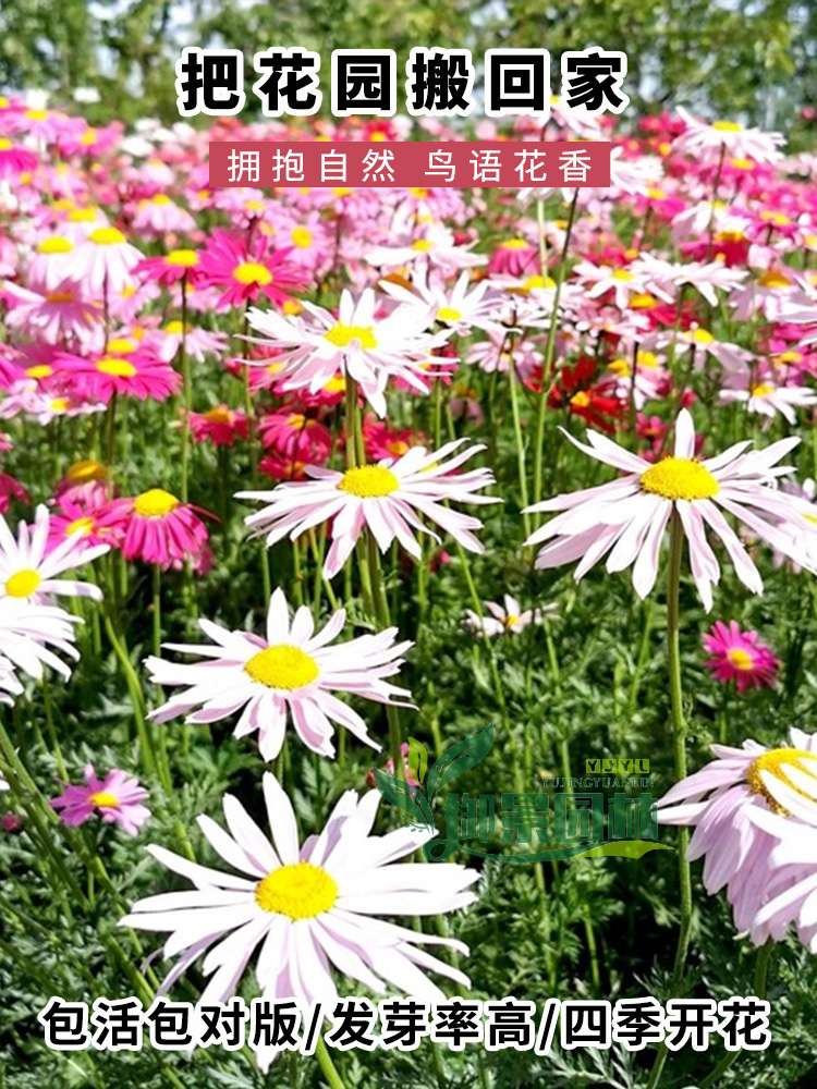 详情1.jpg