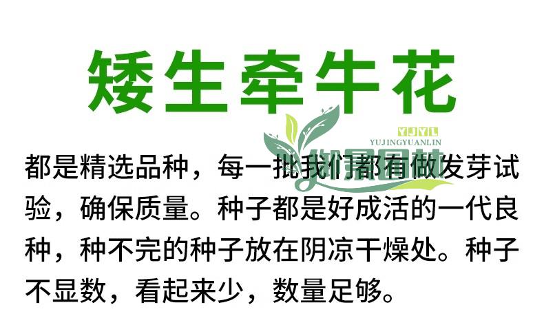 详情11.jpg