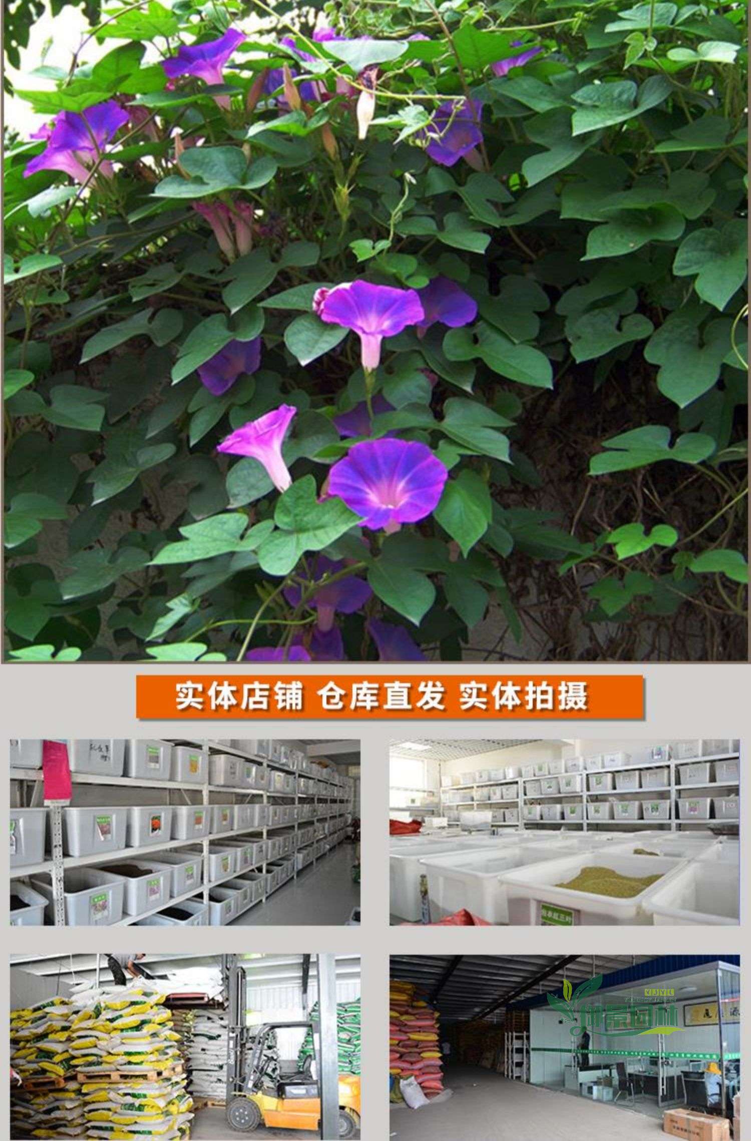 详情10.jpg