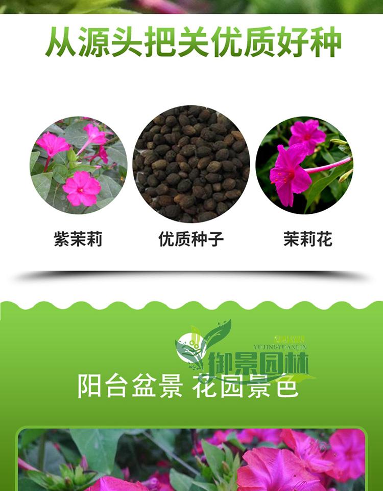 详情2.jpg