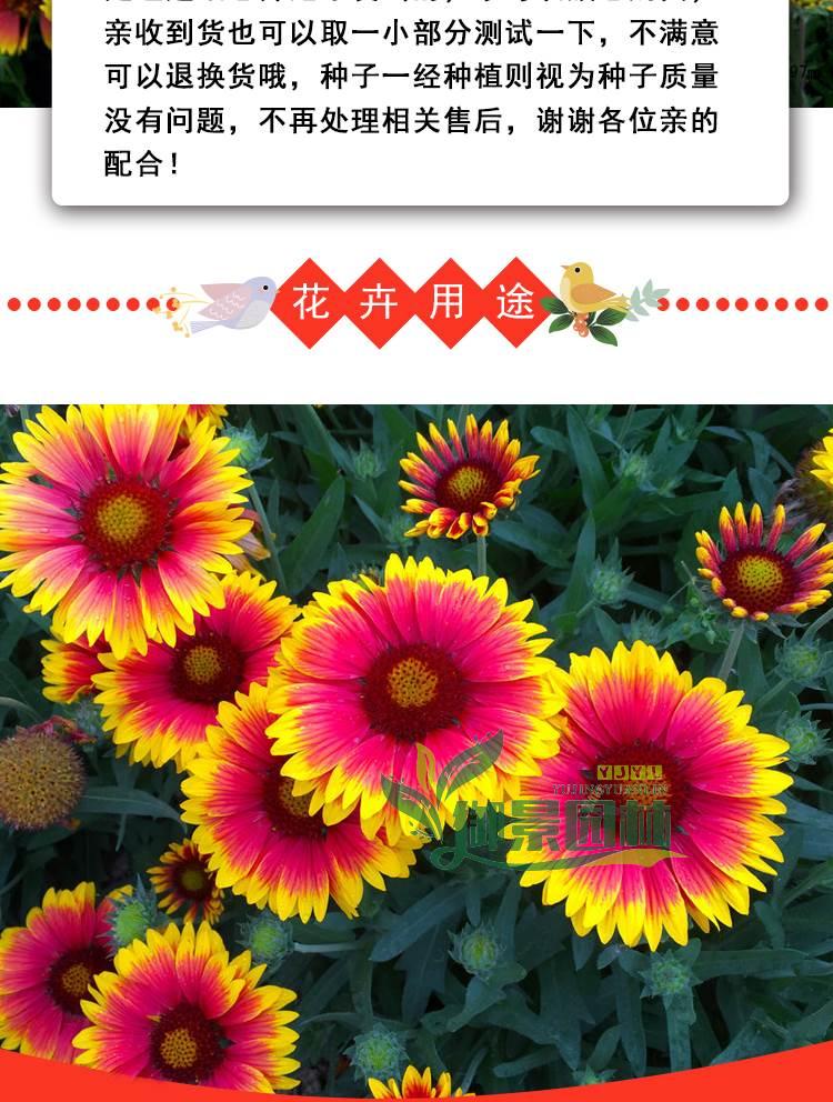 详情3.jpg