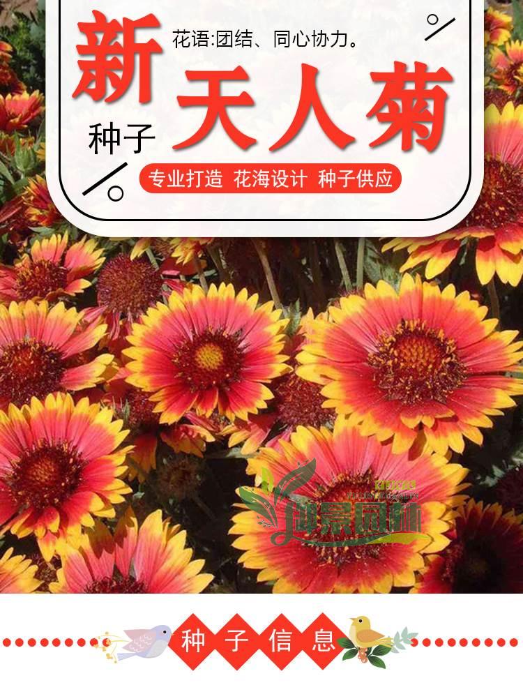详情1.jpg