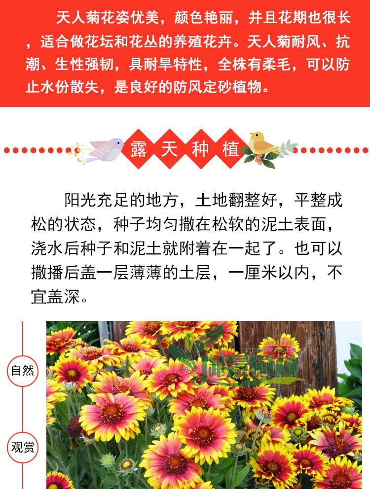 详情4.jpg