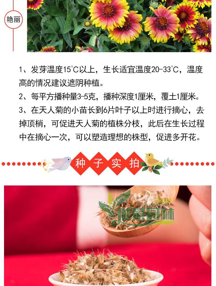 详情5.jpg