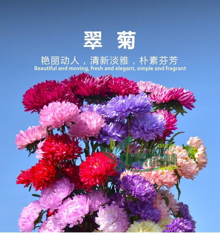 详情1.jpg