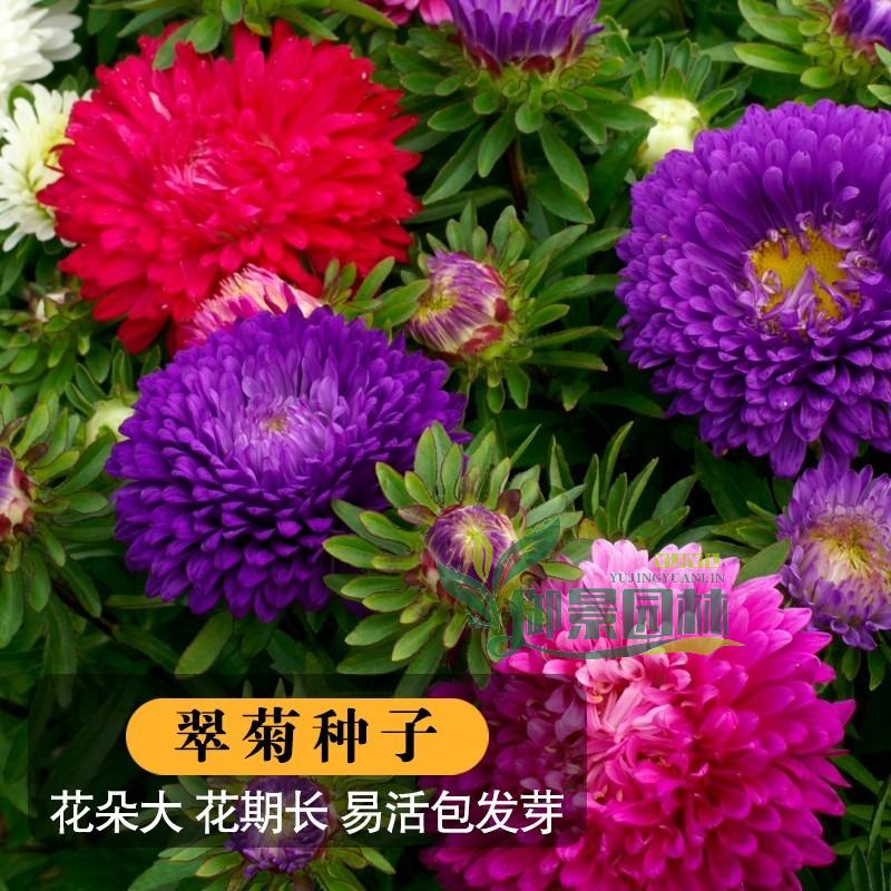 详情2.jpg