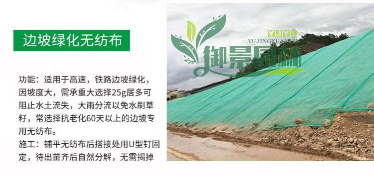 详情1.jpg