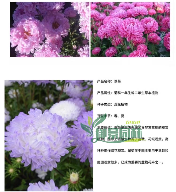 详情7.jpg