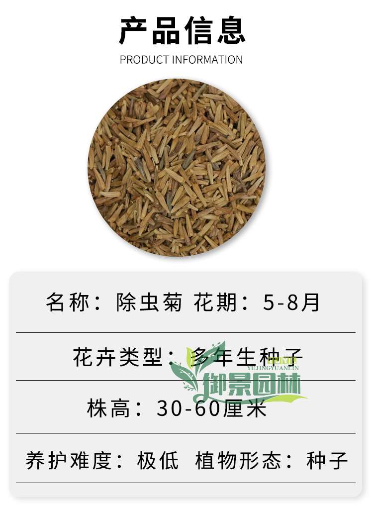 详情10.jpg