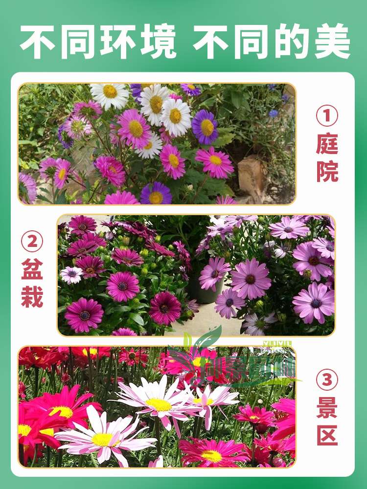详情9.jpg