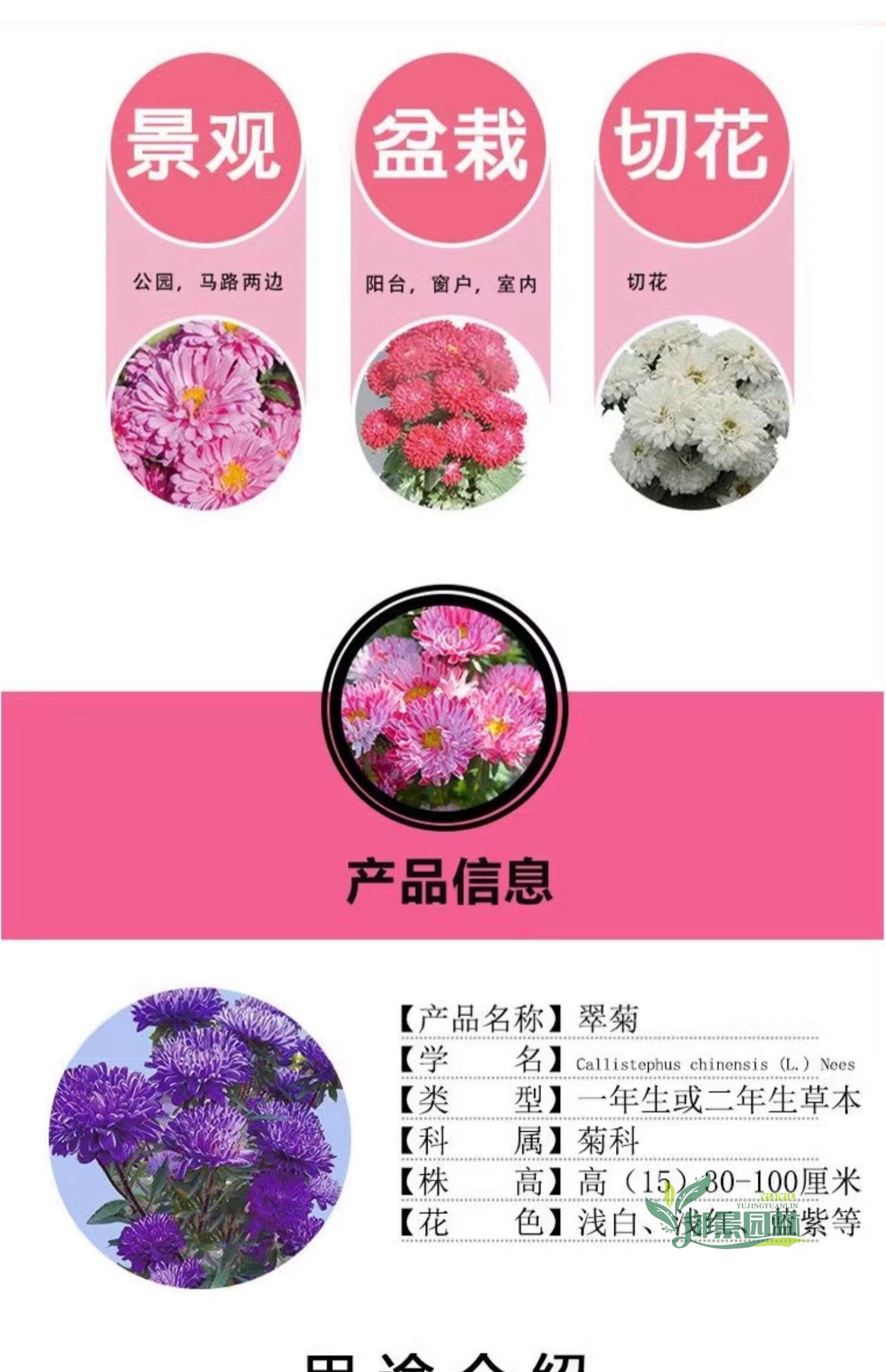 详情3.jpg