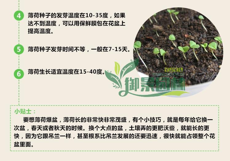 详情8.jpg