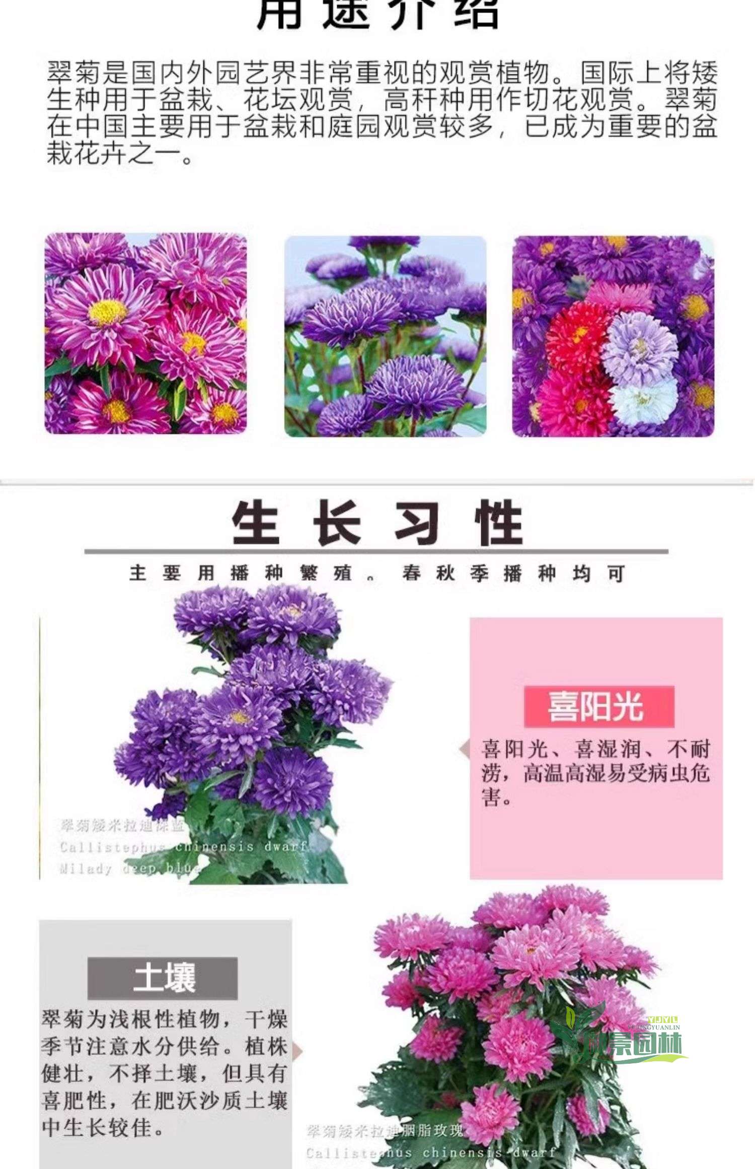 详情4.jpg