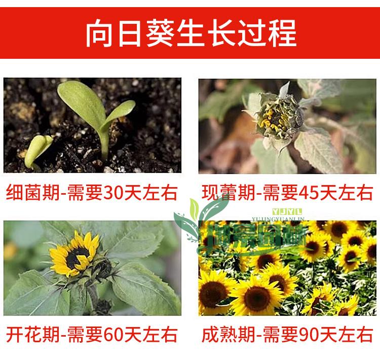 详情16.jpg