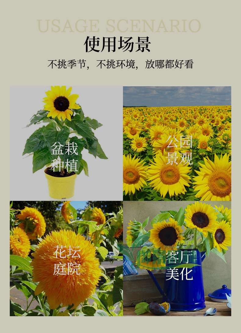 详情15.jpg