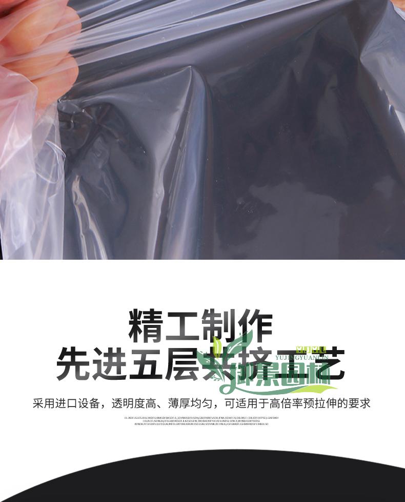 详情1.jpg