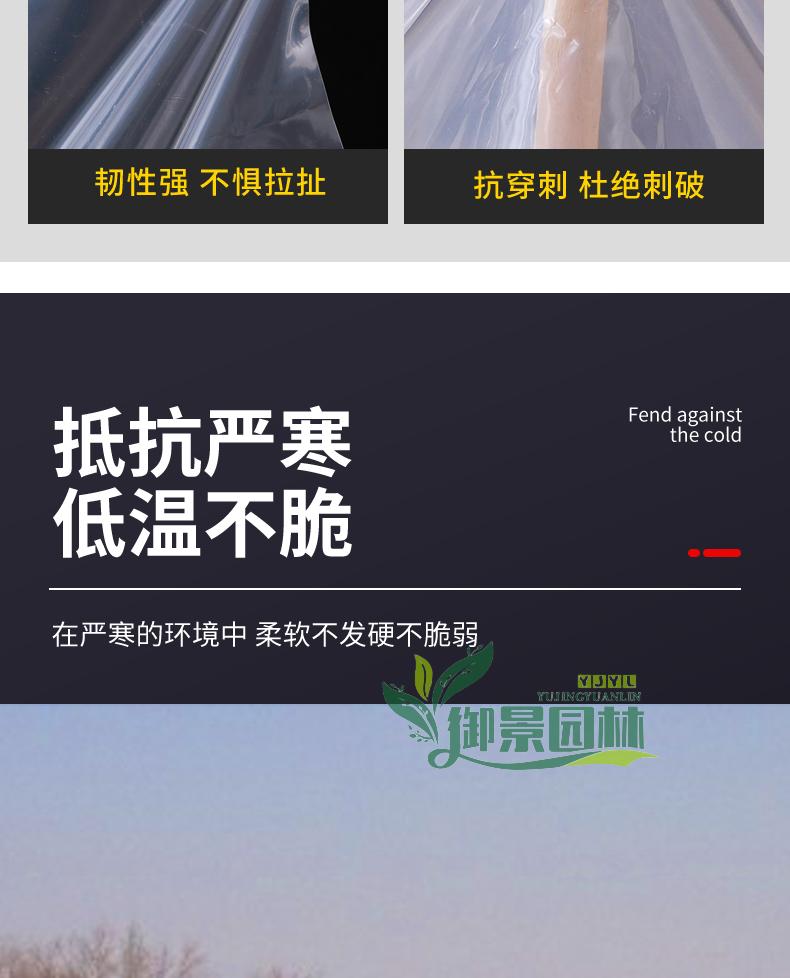 详情6.jpg