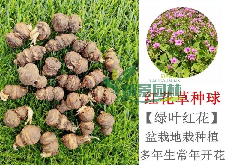 详情2.jpg